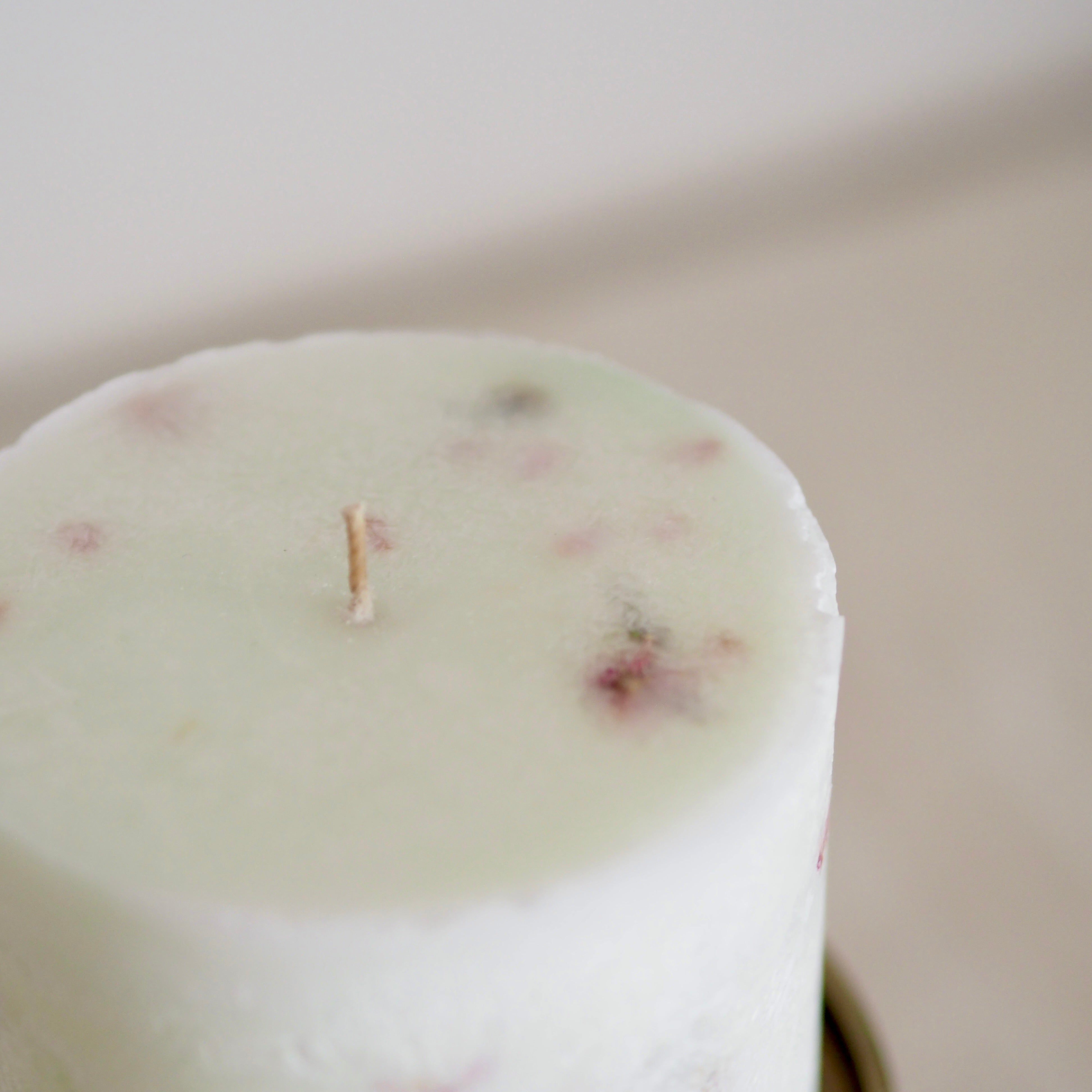 MASASHI Candle202603- 3/12